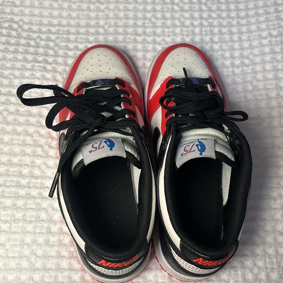 Nike Dunks 75th Anniversary Mens 5 - Picture 5 of 6